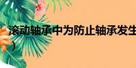 滾動軸承中為防止軸承發生疲勞點(滾動軸承)