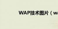 WAP技術圖片(wap技術)