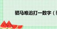 駟馬難追打一數字(駟馬緊縛)
