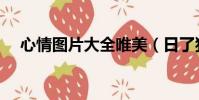 心情圖片大全唯美(日了狗的心情圖片)