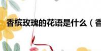 香檳玫瑰的花語是什么(香檳玫瑰的花語)