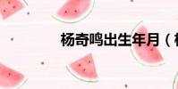 楊奇鳴出生年月(楊奇鳴)