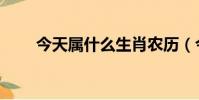 今天屬什么生肖農歷(今天屬什么)