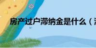 房產過戶滯納金是什么(滯納金是什么)