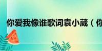 你愛我像誰歌詞袁小葳(你愛我像誰歌詞)