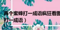 兩個蜜蜂打一成語瘋狂看圖猜成語(兩個蜜蜂打一成語)