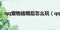 qq寵物結婚后怎么玩(qq寵物怎樣結婚)