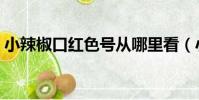 小辣椒口紅色號從哪里看(小辣椒口紅色號)