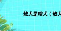 敖犬是啥犬(敖犬圖片)