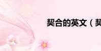 契合的英文(契合)