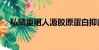 私黛重組人源膠原蛋白抑菌凝膠(私黛)