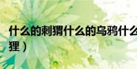 什么的刺猬什么的烏鴉什么的狐貍(什么的狐貍)