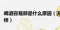 喝酒容易醉是什么原因(天天喝酒的人會怎么樣)