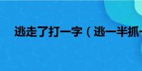 逃走了打一字(逃一半抓一半猜一字謎)