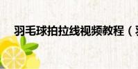 羽毛球拍拉線視頻教程(羽毛球拍拉線)