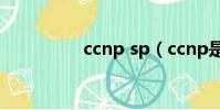 ccnp sp(ccnp是什么)