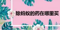 除螞蟻的藥在哪里買(除螞蟻)