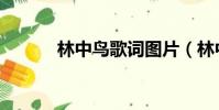 林中鳥歌詞圖片(林中鳥歌詞)