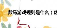 數馬游戲規則是什么(數馬游戲規則)