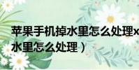 蘋果手機掉水里怎么處理xmas(蘋果手機掉水里怎么處理)