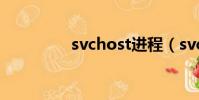 svchost進程(svchost)