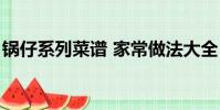 鍋仔系列菜譜 家常做法大全(鍋仔系列菜譜)