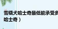 雪橇犬哈士奇最低能承受多少的溫度(雪橇犬哈士奇)