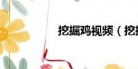 挖掘雞視頻(挖掘雞)