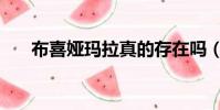 布喜婭瑪拉真的存在嗎(布喜婭瑪拉)