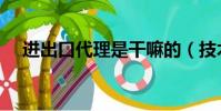 進出口代理是干嘛的(技術進出口代理)
