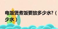 電飯煲煮飯要放多少水?(電飯煲煮飯要放多少水)
