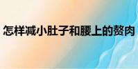 怎樣減小肚子和腰上的贅肉(怎樣減小肚子)