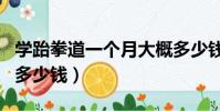 學跆拳道一個月大概多少錢(學跆拳道一個月多少錢)