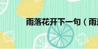雨落花開下一句(雨落花開gl)