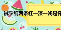試孕紙兩條杠一深一淺是懷孕嗎(試孕紙)