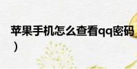 蘋果手機怎么查看qq密碼(怎么查看qq密碼)