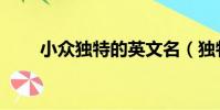 小眾獨特的英文名(獨特的英文名)