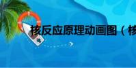 核反應原理動畫圖(核反應原理)