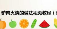 驢肉火燒的做法視頻教程(驢肉火燒的做法)