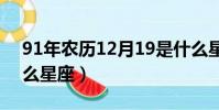 91年農歷12月19是什么星座(12月19是什么星座)