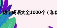 數字成語大全1000個(和數字有關的成語)