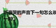 聽海哭的聲音下一句怎么說(聽海哭的聲音下一句)