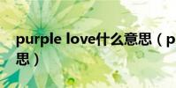 purple love什么意思(puppy love什么意思)