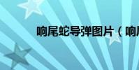 響尾蛇導彈圖片(響尾蛇導彈)