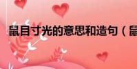 鼠目寸光的意思和造句(鼠目寸光的意思)