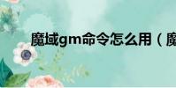 魔域gm命令怎么用(魔域gm命令)