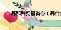 養那種狗最省心(養什么狗最省心)