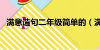 滿意造句二年級簡單的(滿意造句二年級)