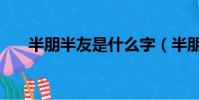 半朋半友是什么字(半朋半友打一字)