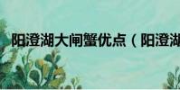 陽澄湖大閘蟹優點(陽澄湖大閘蟹好吃嗎)